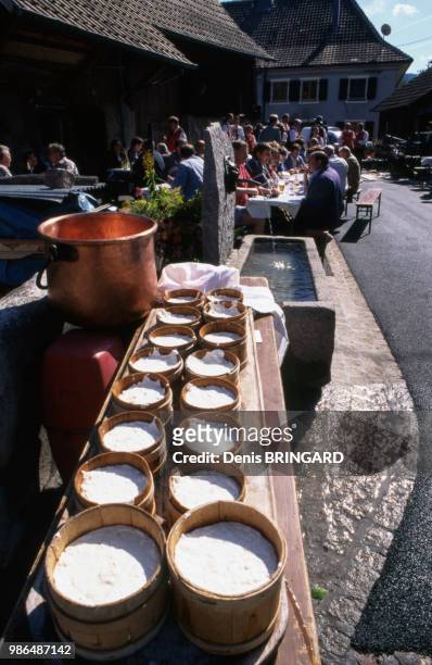 Fromages de Munster dans des moules en bois traditionnels lors de la Fête du Moulin de Storckensohn en Alsace, France.