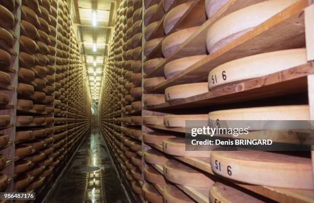 Travée dans la cave d'affinage du Comté Marcel Petite dans le fort Saint Antoine près de Malbuisson, France.