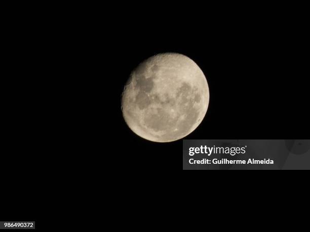 2,911 Lua Stock Photos, High-Res Pictures, and Images - Getty Images