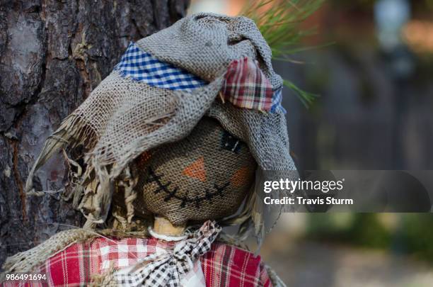 89 Small Scarecrow Stock Photos High Res Pictures And Images Getty 89-small-scarecrow-stock-photos-high-res-pictures-and-images-getty