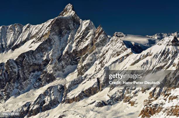 golden snow - peter snow stock pictures, royalty-free photos & images