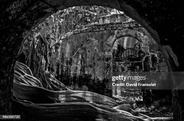 slave prison - french overseas territory stock pictures, royalty-free photos & images