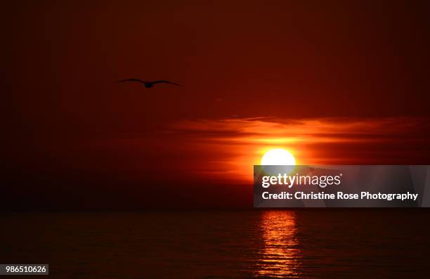 silhouette in the sunset - whitehaven cumbria 個照片及圖片檔