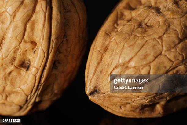 walnuts - nutshell stock pictures, royalty-free photos & images