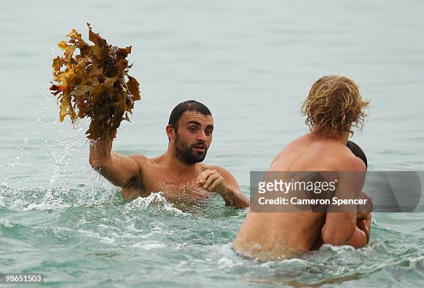 Rhyce Shaw of the Swans throws seaweed during a Sydney Swans AFL recovery session at Coogee Beach on April 25, 2010 in Sydney, Australia.