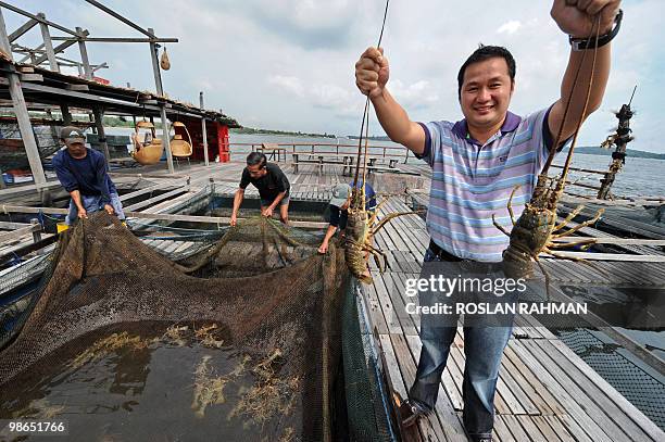 Singapore-economy-farm-food-fish,INTERVIEW by Bernice Han This photo taken on March 26, 2010 shows Singaporean property developer Eric Cheng...