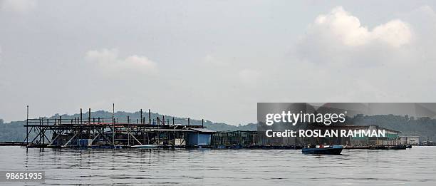 Singapore-economy-farm-food-fish,INTERVIEW by Bernice Han This photo taken on March 26, 2010 shows a floating fish farm in Singapore. His wife and...