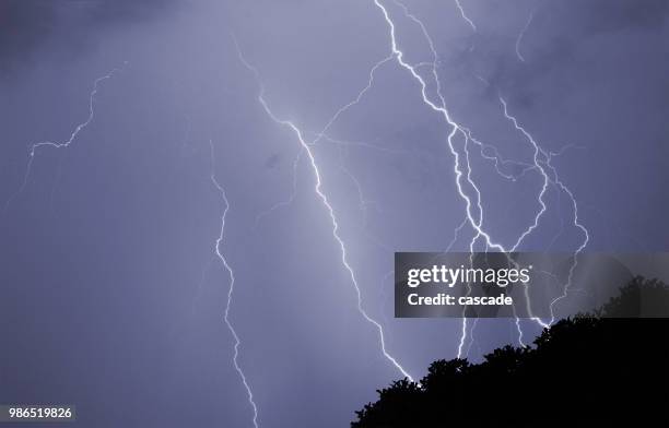 shattered sky - forked lightning stock pictures, royalty-free photos & images