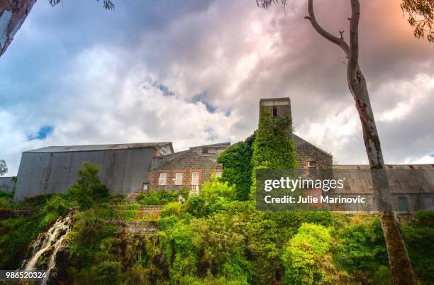 4,446 Victoria Buckley Stock Photos, High-Res Pictures, and Images