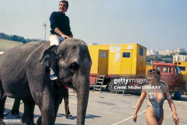 Alain Delon sur un éléphant lors du tournage du film 'Parole de flic' de José Pinheiro en août 1985, France.