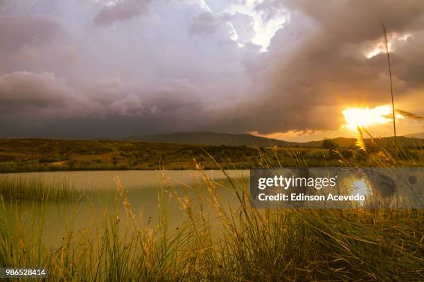 landscape with lake (paisaje con lago) - paisaje stockfoto's en -beelden