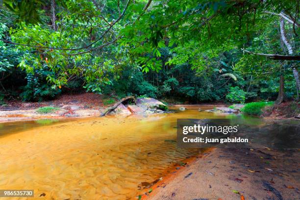 river of aguas calientes, peruvian amazon - calientes stock pictures, royalty-free photos & images