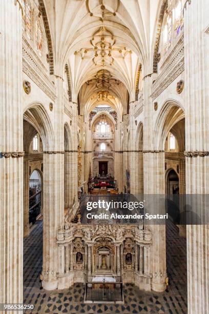 interior view of catedral nueva (new cathedral) in spain, castile-leon, salamanca - alexander leon stockfoto's en -beelden