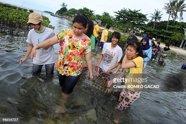 This photo taken on April 24, 2010 shows members of Indonesia's "Teens Go Green" planting sea grass at the Thousand Islands National Marine Park by...