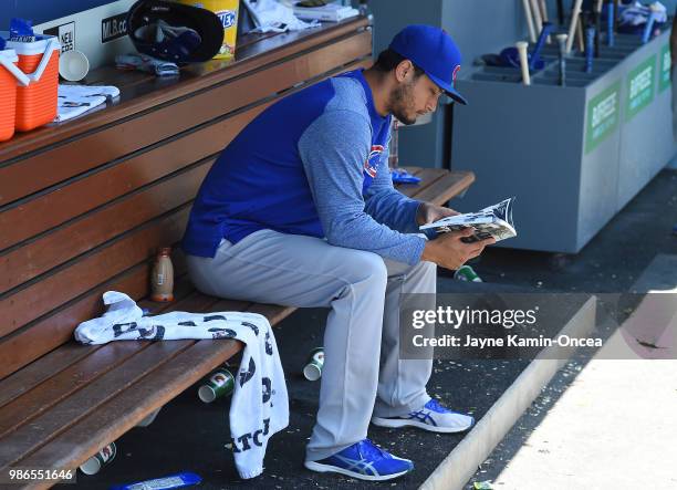 Yu Darvish of the Chicago Cubs looks over the team media guide as he sits in the dugout during the game against the Los Angeles Dodgers at Dodger...