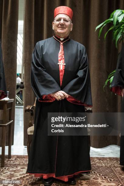 Newly Appointed Cardinal Louis Raphael I Sako of Iraq poses following a consistory ceremony lead by Pope Francis to create 14 new cardinals at St....