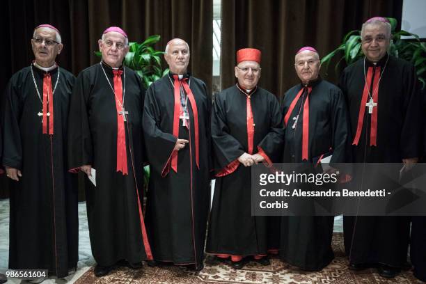 Newly Appointed Cardinal Louis Raphael I Sako of Iraq poses following a consistory ceremony lead by Pope Francis to create 14 new cardinals at St....