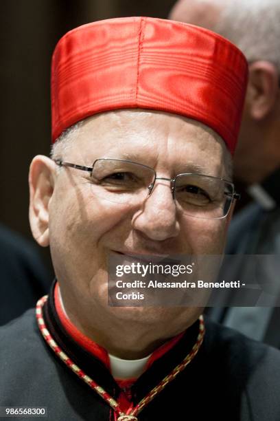 Newly Appointed Cardinal Louis Raphael I Sako of Iraq poses following a consistory ceremony lead by Pope Francis to create 14 new cardinals at St....