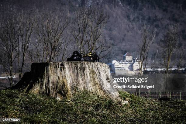 vaduz castle - vaduz castle stock-fotos und bilder