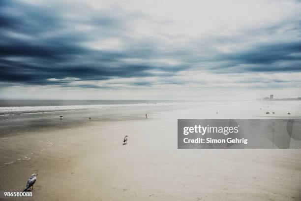 atlantic beach, jacksonville - jacksonville beach stock pictures, royalty-free photos & images