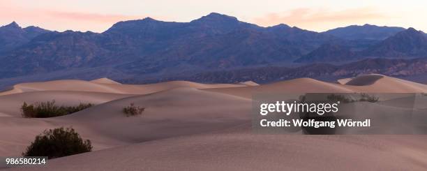 mesquite sand dunes - wolfgang wörndl 個照片及圖片檔