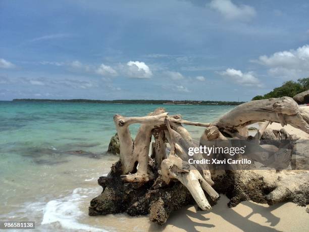 playa blanca, colombia - playa carrillo stock pictures, royalty-free photos & images