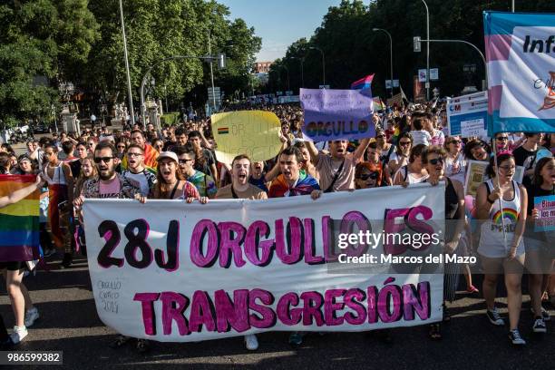 People protesting during a demonstration known as the "Critical Pride", where a LGBT community rally was held as an alternative to the official Pride...