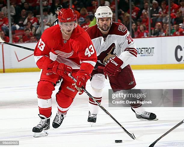 Darren Helm of the Detroit Red Wings tries to keep control of the puck away from Robert Lang of the Phoenix Coyotes during Game Six of the Western...