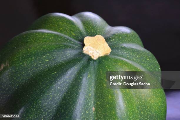 Small Ripe Squash Ripe Acorn Squash Photos and Premium High Res Pictures - Getty Images