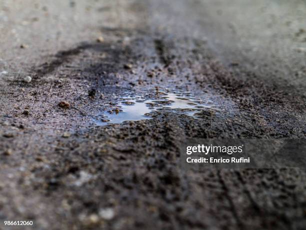 Puddle Rloor 595 Puddle Floor Stock Photos, High-Res Pictures, and Images - Getty Images