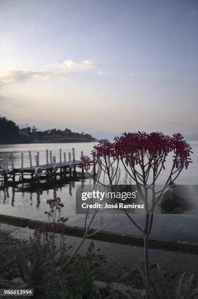 panajachel,guatemala - panajachel stock pictures, royalty-free photos & images