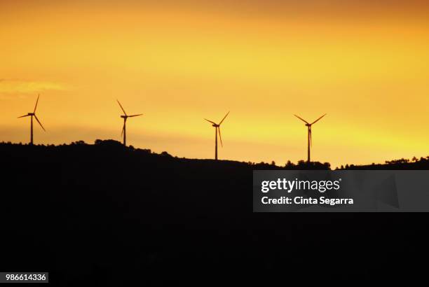 wind farm - cinta stock-fotos und bilder