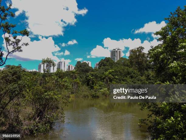 lago e cidade - cidade ストックフォトと画像