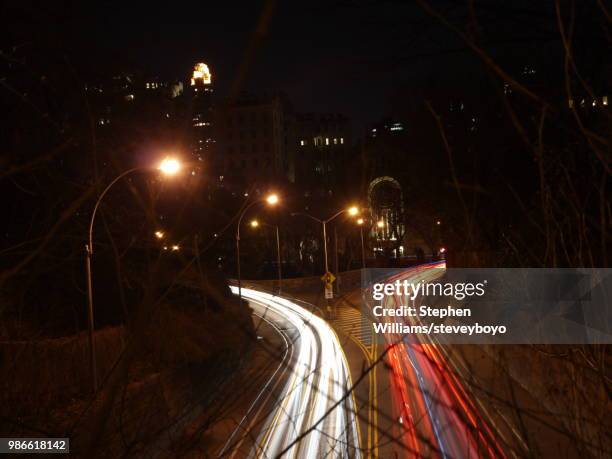 slow shutter in central park - fast shutter speed foto e immagini stock