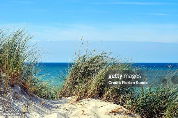 Summer Betch 16 Summerbeach Stock Photos, High-Res Pictures, and Images - Getty Images