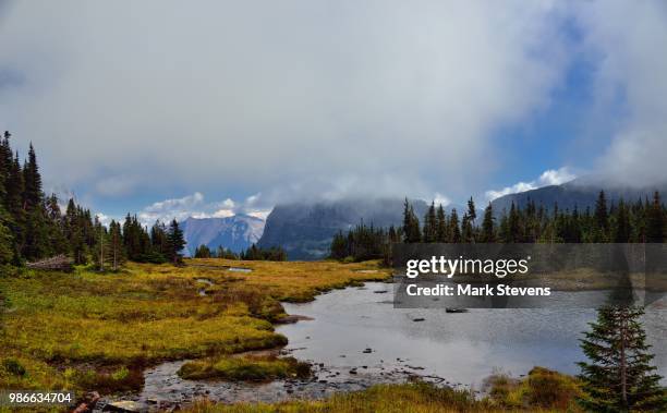 a pond and grassy meadow in logan pass - logan pass stock-fotos und bilder