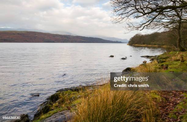 coniston water lake district cumbria - coniston foto e immagini stock