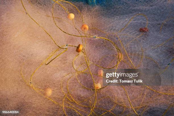 fishing nets on the sand - comportamientos de la flora fotografías e imágenes de stock