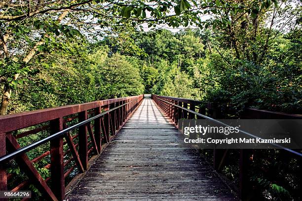 park bridge of trees - ann arbor michigan ストックフォトと画像