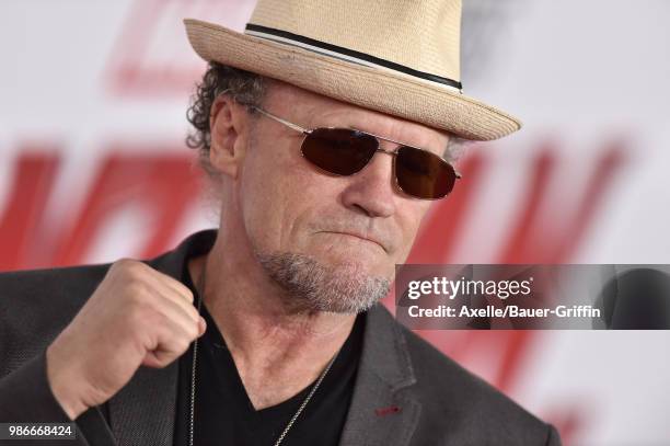 Actor Michael Rooker attends the premiere of Disney and Marvel's 'Ant-Man and the Wasp' at El Capitan Theatre on June 25, 2018 in Hollywood,...