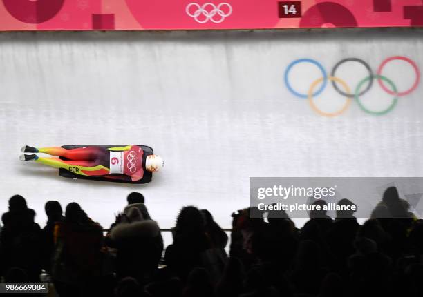 Südkorea, Pyeongchang: Olympia, Skeleton, Frauen im Alpensia Sliding-Zentrum: Tina Hermann fährt den Eiskanal herunter. Photo: Tobias Hase/dpa