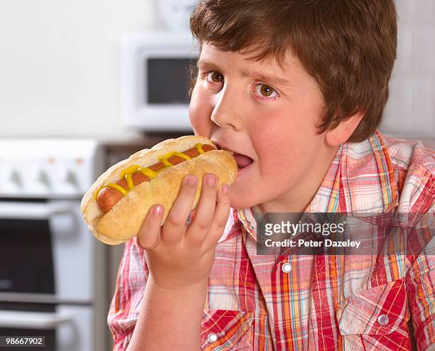 overweight boy eating hot dog - transfettsäure stock-fotos und bilder