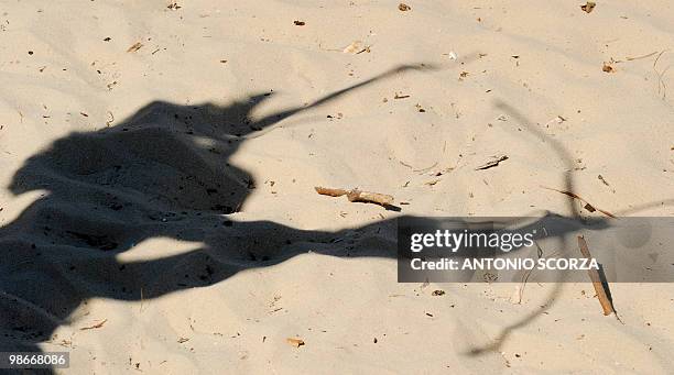 The shadow of Txwa Pataxo, a native of the Brazilian Pataxo tribe, holding his bow and arrow, is cast on the sand of Rio de Janeiro's Ipanema beach,...