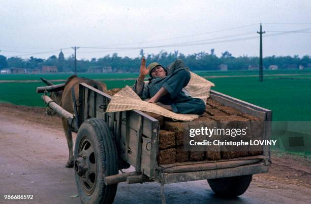 Paysan allongé dans sa charrette dans la campagne vietnamienne en octobre 1989, Viet nam.