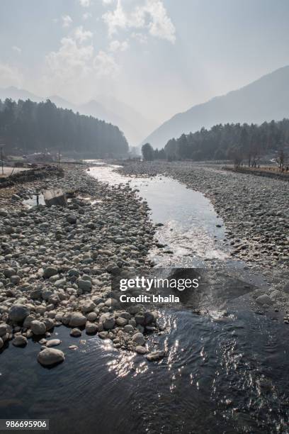 pahalgam, kashmir - pahalgam stock pictures, royalty-free photos & images