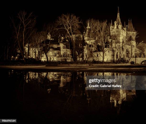 vajdahunyad castle - vajdahunyad castle stockfoto's en -beelden