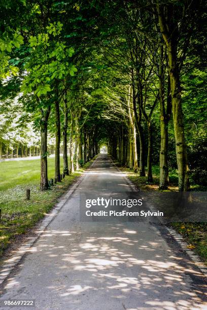 through the rabbit hole - rabbit hole stock pictures, royalty-free photos & images