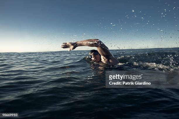 openwater swimmer - swimming stock-fotos und bilder
