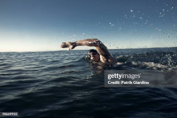 openwater swimmer - swim photos et images de collection