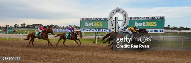 Pretty Bella ridden by Damien Oliver wins the Bet365 Three-Years-Old Maiden Plate at Geelong Synthetic Racecourse on June 29, 2018 in Geelong,...